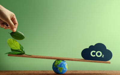 Afinal, o que são os créditos de carbono?