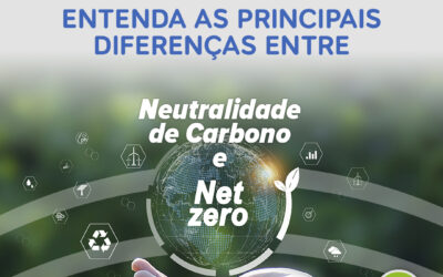 Entenda as principais diferenças entre Neutralidade de carbono e Netzero