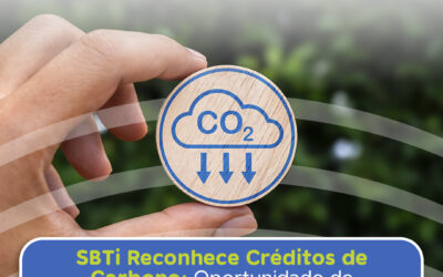 SBTi autoriza o uso de créditos de carbono para compensação de emissões