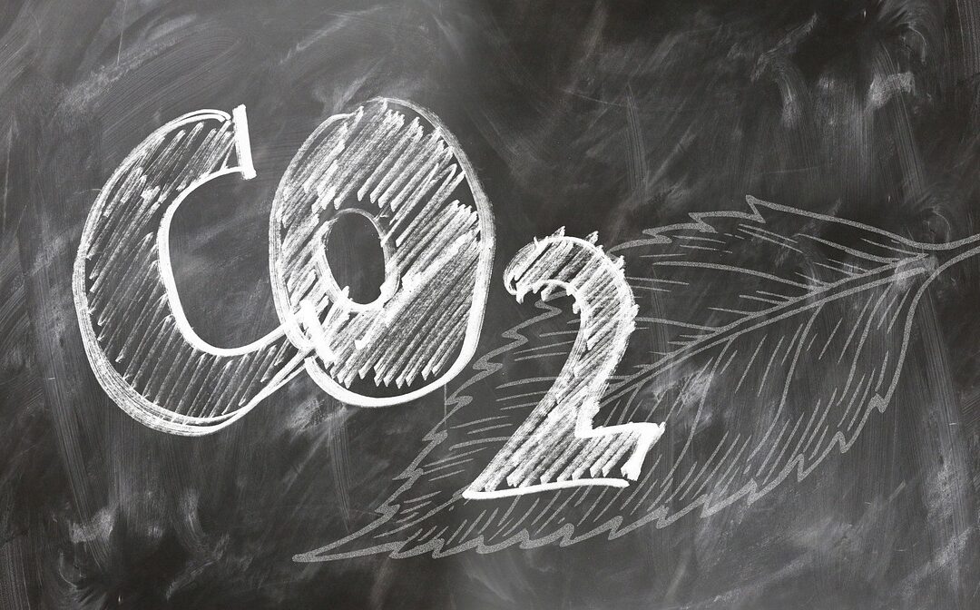 Caminhos para Empresas se Destacarem no Mercado de Carbono: Como Realizar Inventários de Emissões e Ser Carbono Neutro