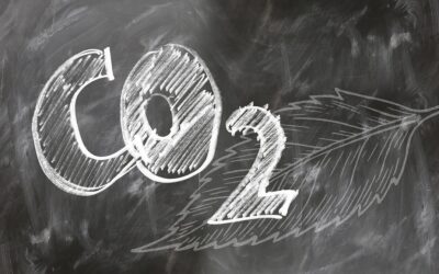 Caminhos para Empresas se Destacarem no Mercado de Carbono: Como Realizar Inventários de Emissões e Ser Carbono Neutro