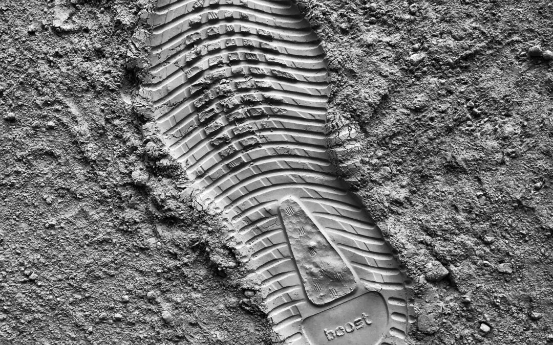 Da pegada de carbono ao rótulo ambiental: por que sua empresa precisa de ACV e EPD